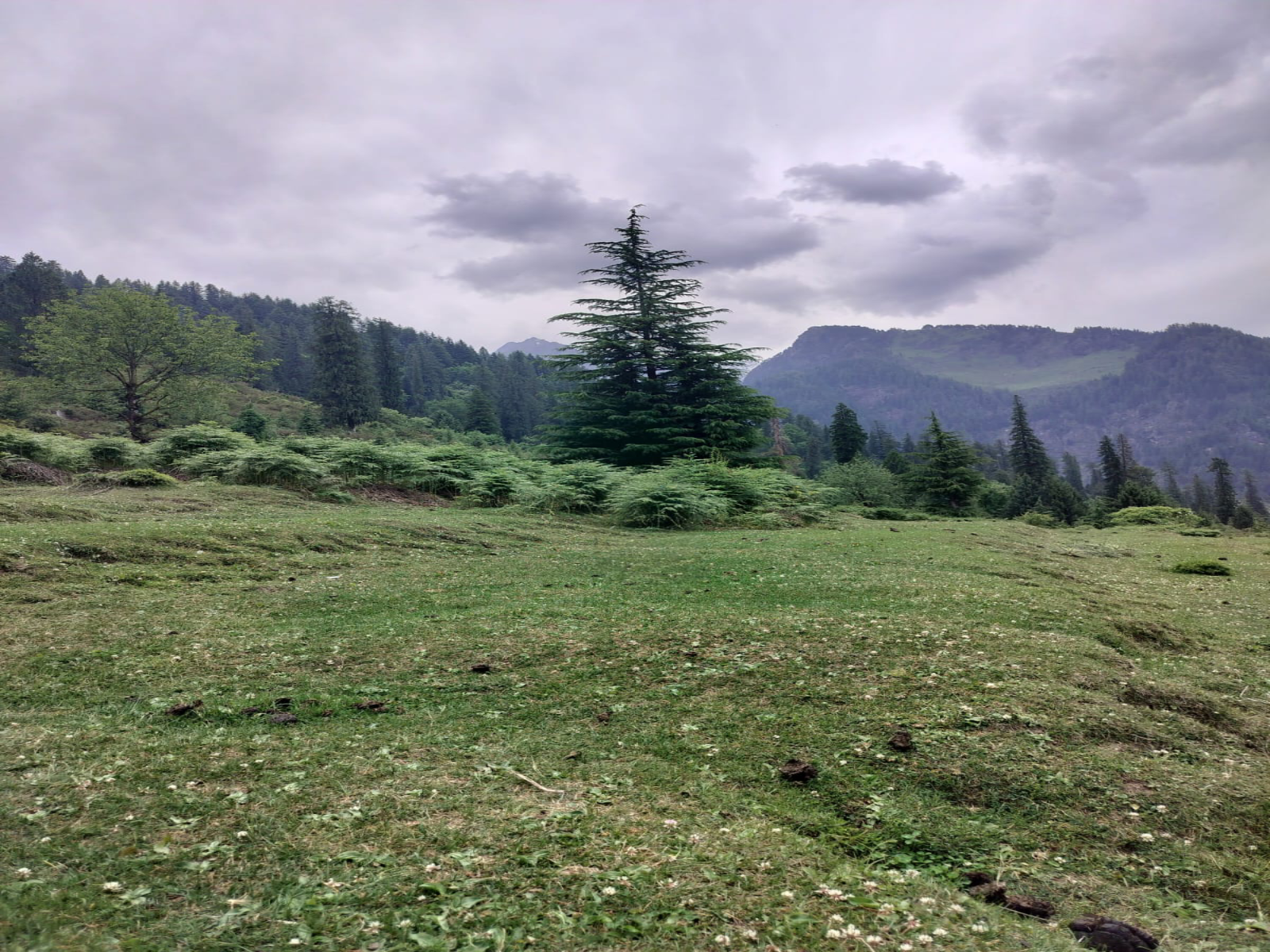 khanpari tibba active family vacations