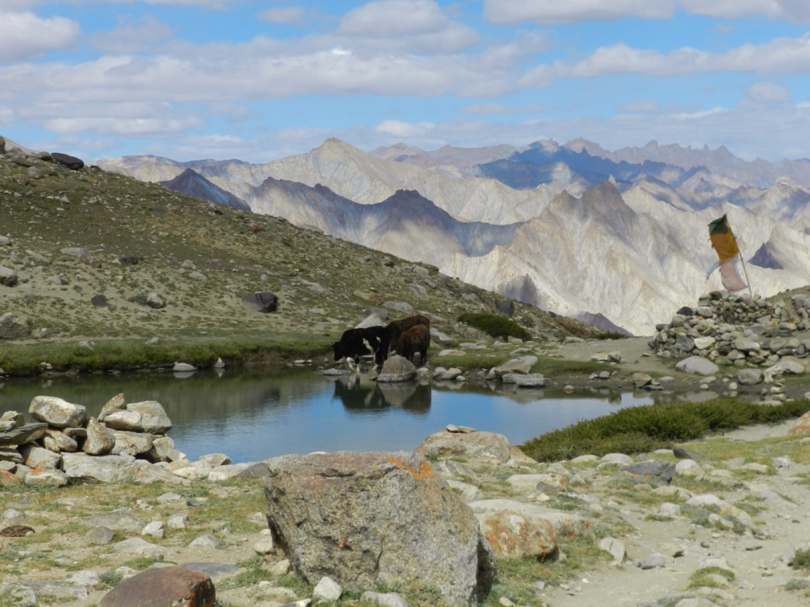 markha valley eoad expedition